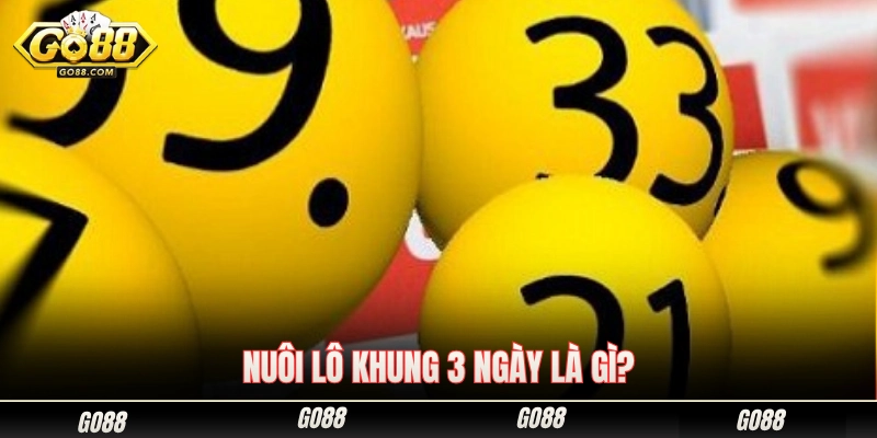 Nuôi lô khung 3 ngày nghĩa là gì? 